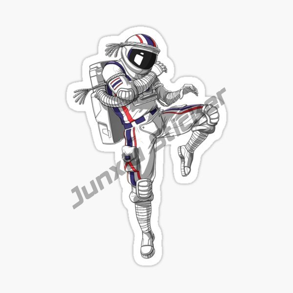 Muay Thai Car Stickers Sunscre - Car Accessories Thailand recension och pris